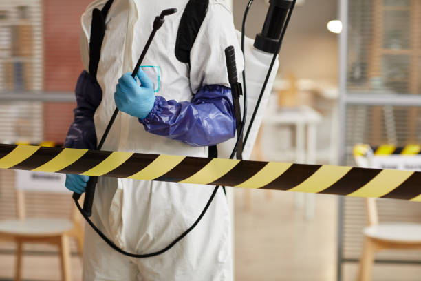Professional Blood Cleanup technician working in Houston, TX